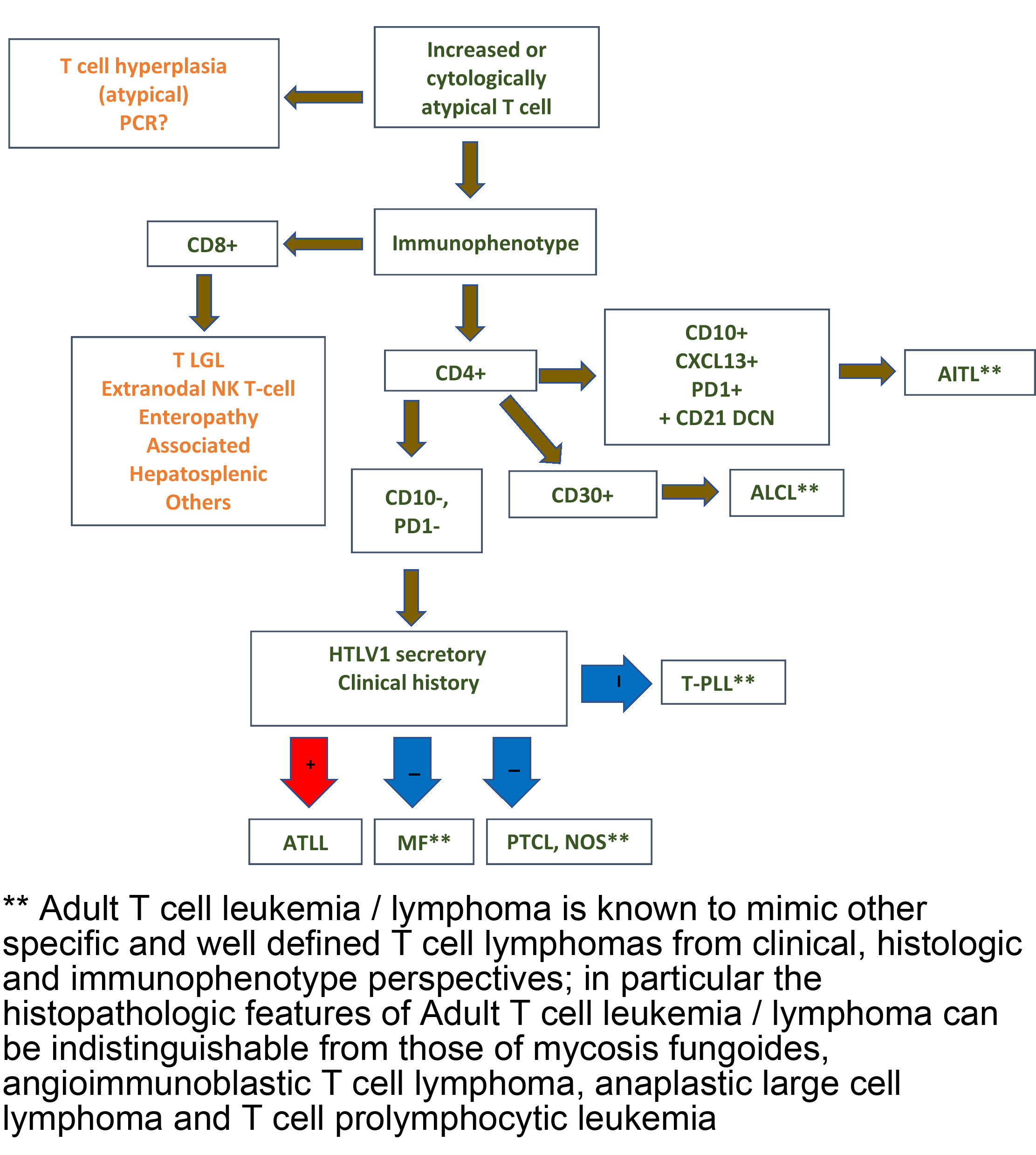 Who Lymphoma Classification Chart