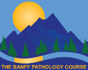 Banff Pathology Course