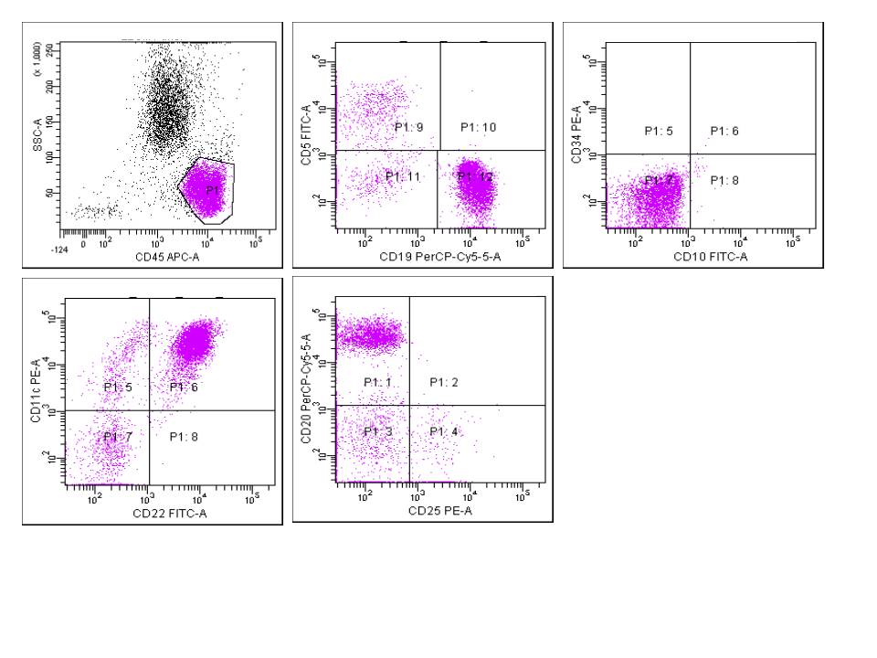 Flow cytometry analysis
