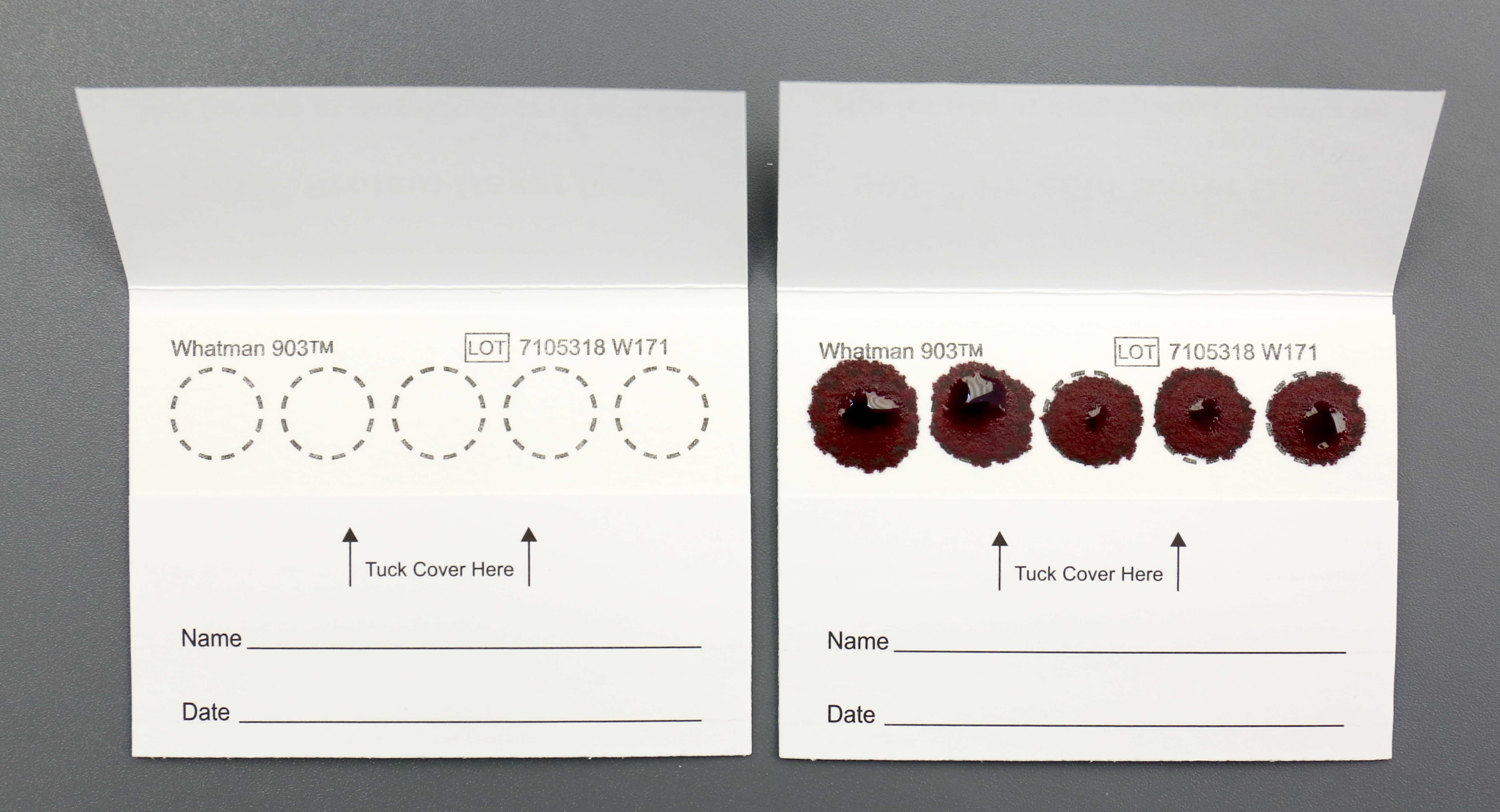 Blood spot DNA card