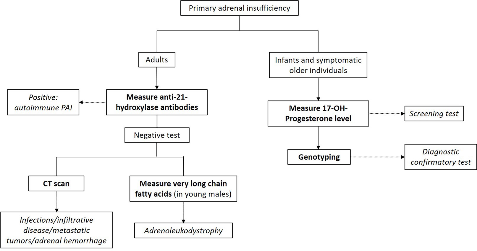 Primary adrenal insufficiency testing flowchart