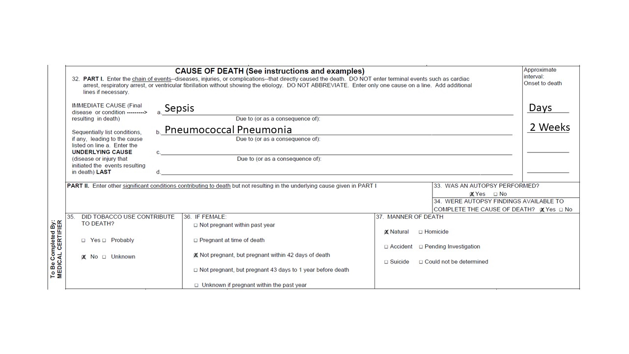 Hospital setting sample death certificate