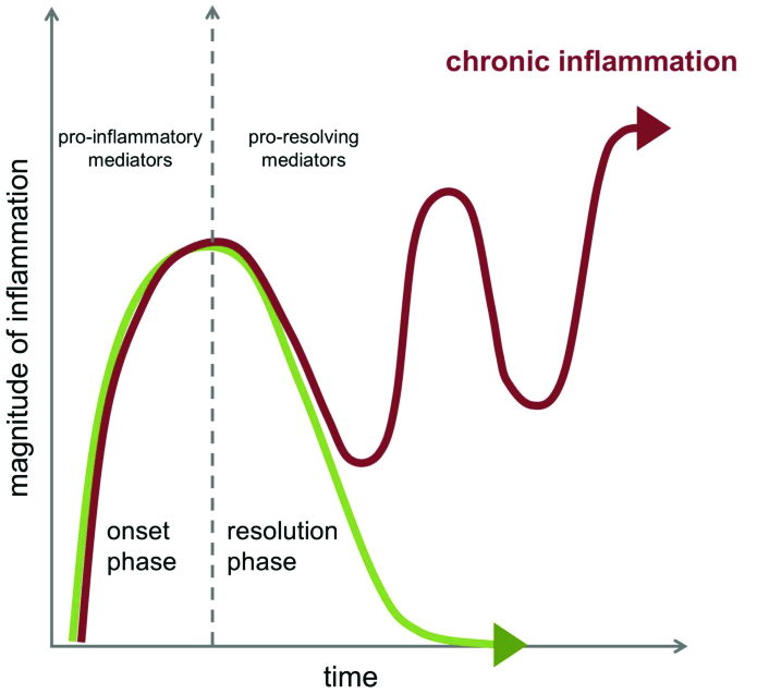 inflammation and resolution of inflammation begin simultaneously