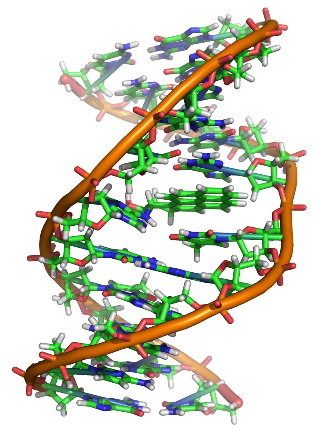 A BPDE metabolite forms a DNA adduct
