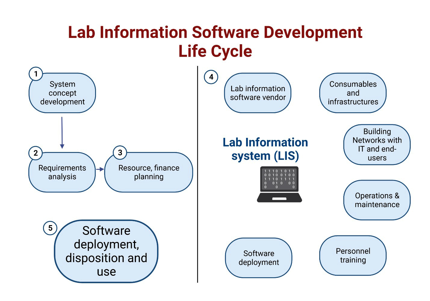 Lifecycle of LIS