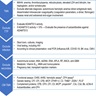 Diagnostic algorithm for TMA