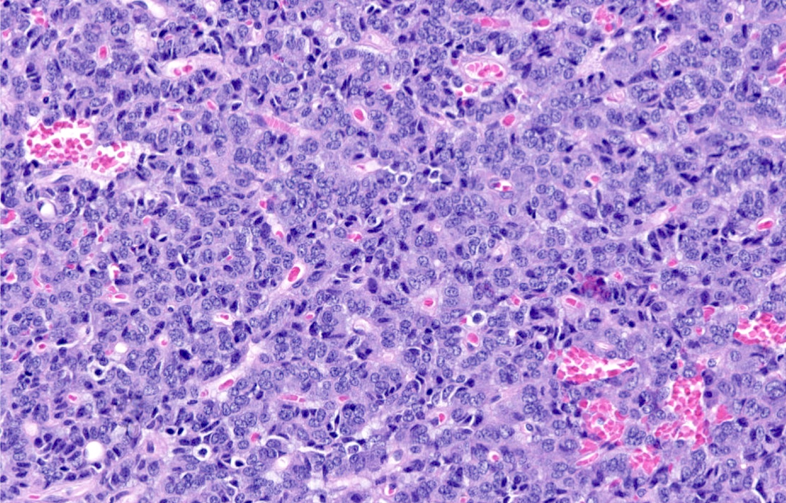Imunex Complex De Microalge 180cps