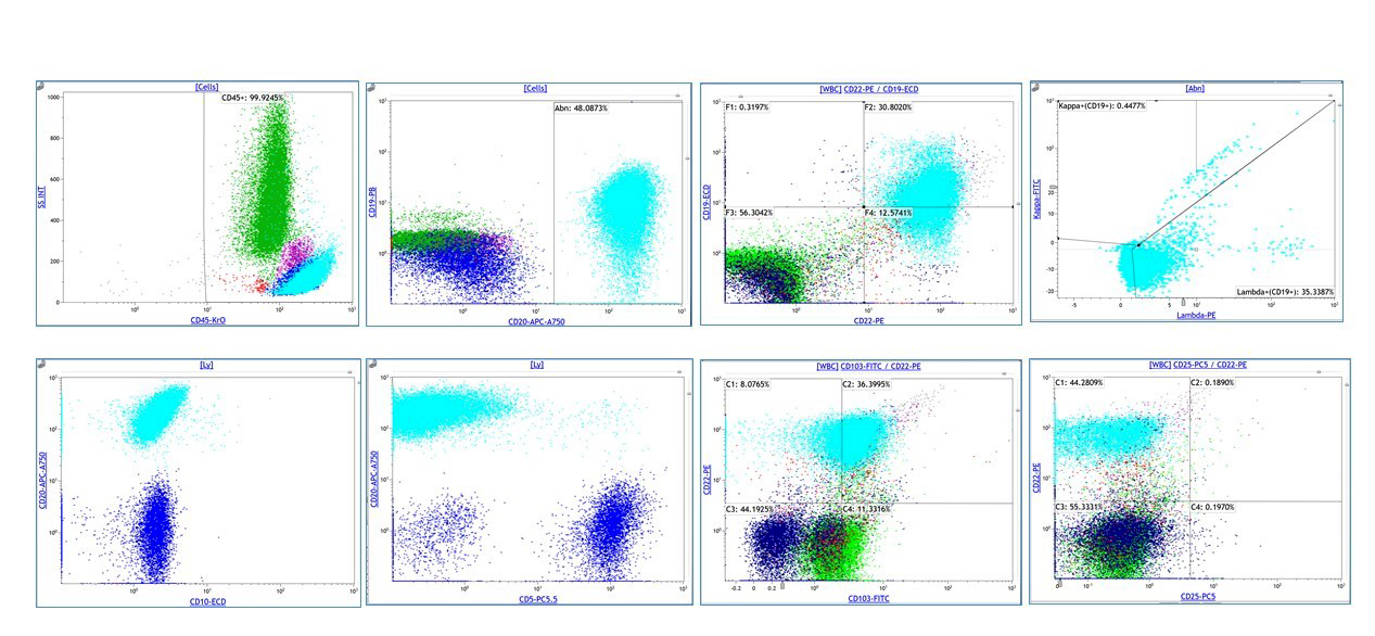 Flow cytometry analysis
