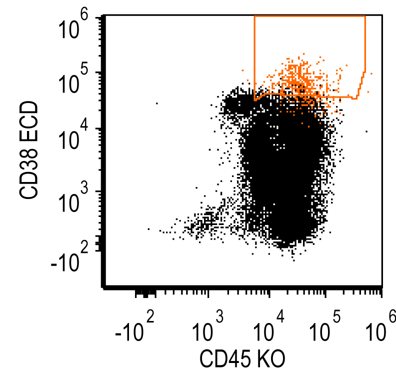 Plasma cells express CD45