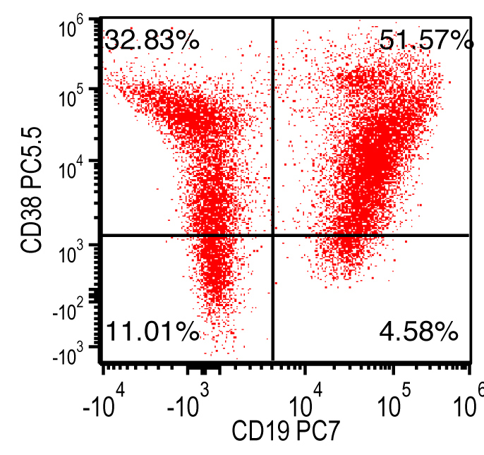 B cells show variable expression for CD38