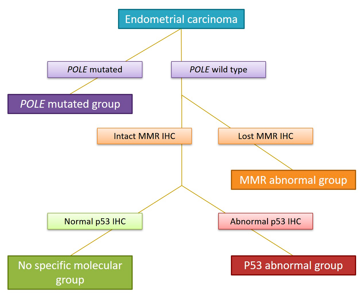Molecular based classification of endometrial carcinoma