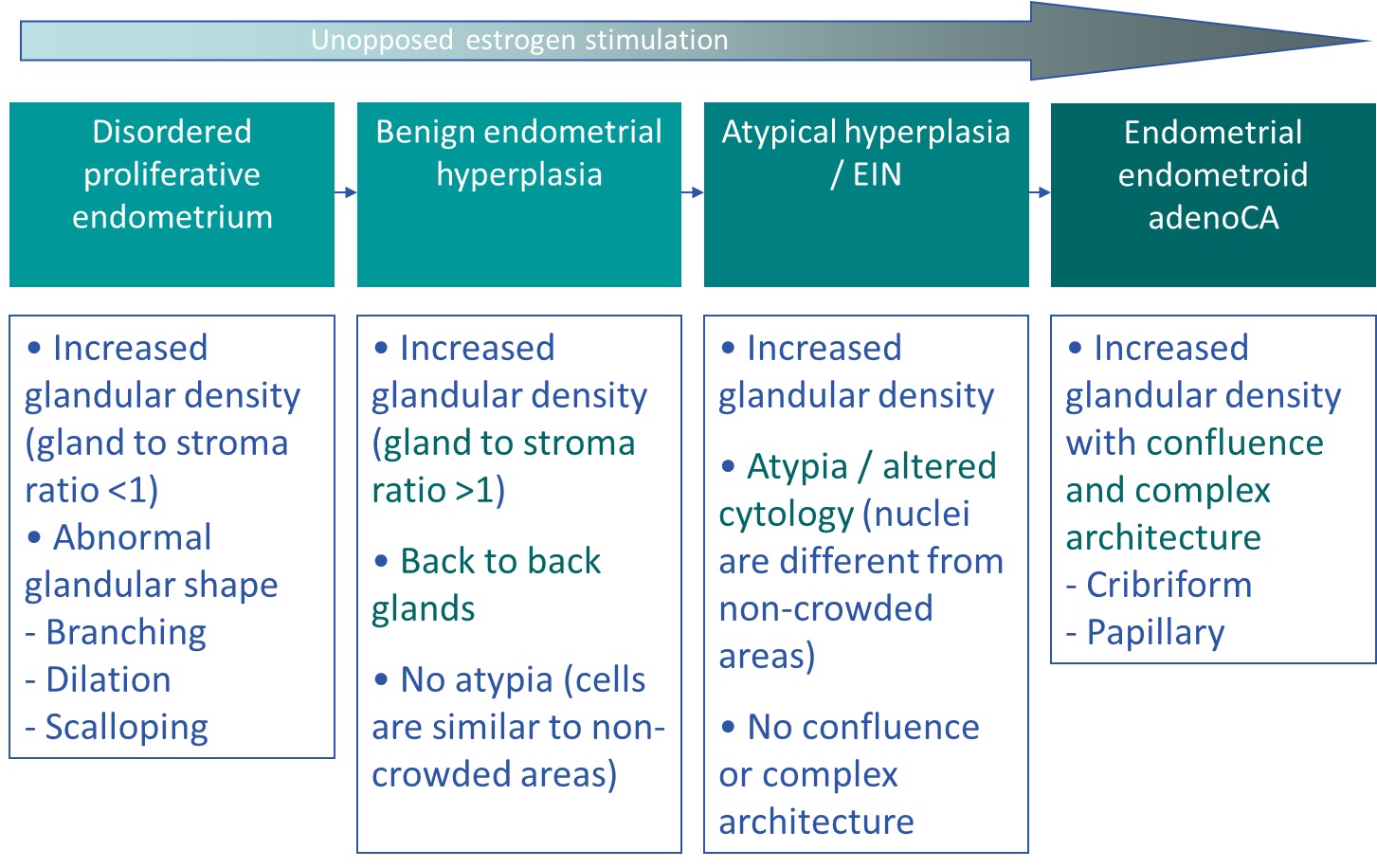Pathology Outlines - Endometrial hyperplasia - general