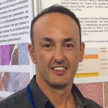 Mehmet Kefeli, M.D.