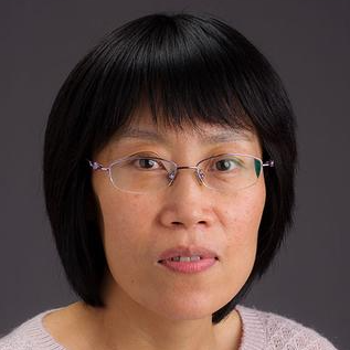 Ying Wang, M.D., Ph.D.