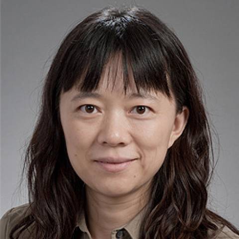 Xueyan Chen, M.D., Ph.D.