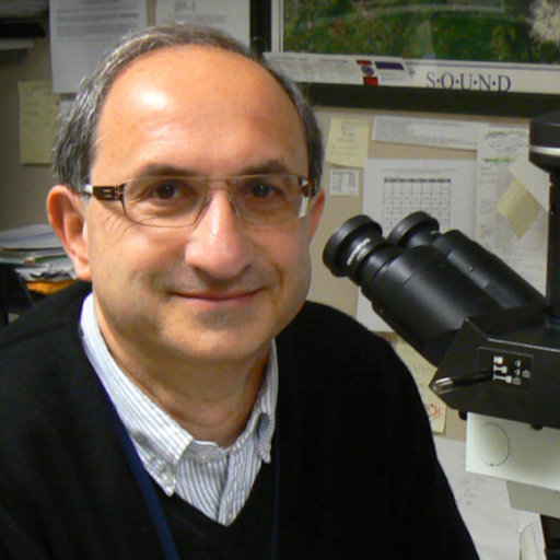 Roberto F. Nicosia, M.D., Ph.D.