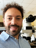 Luca Cima, M.D.