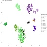 TSNE analysis of DNA methylation data