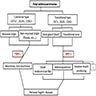 Classification of anal adenocarcinoma