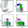 Normal hematogone maturation by flow cytometry