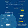Metabolic pathways related to thiamine