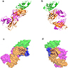 Crystal structures of the interaction of PDL1 with atezolizumab antigen binding fragment