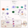 Etiology