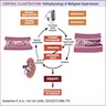 Pathophysiology of Malignant Hypertension