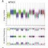 SNP Array Analysis