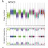 SNP Array Analysis