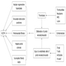 Liver adaptive reactions overview