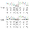 BRAF mutation analysis