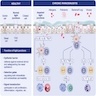 Nasal epithelial abnormalities in the pathogenesis of CRS