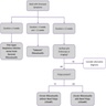 Diagnostic algorithm for rhinosinusitis