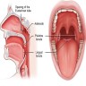 Lingual tonsil anatomy
