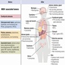 MEN1 associated tumors