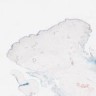 Abdominal fat pad biopsy, Congo red