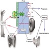 FGF23 biological effects