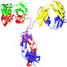 Antibody structure