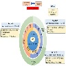 Molecular landscape