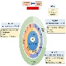 Molecular landscape