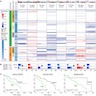 Recurrent MSK-IMPACT derived copy number alterations