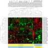 Hierarchical clustering