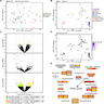 Gene expression analysis