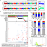 CNV landscape of thyroid tumors